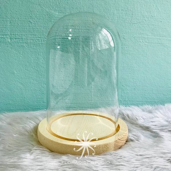Floral Craft Supplies - Glass Dome (12cm x 12cm x 17cm)