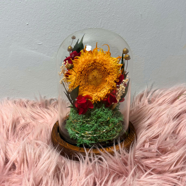 Faith & Encouragement