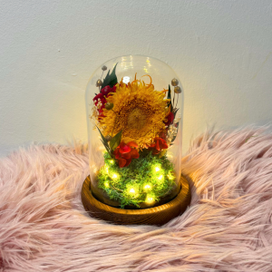 Faith & Encouragement