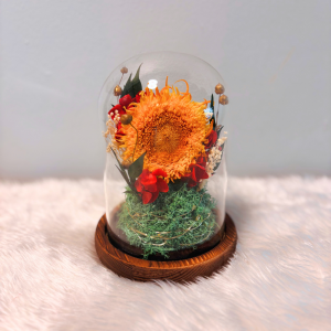 Faith & Encouragement