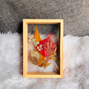 Pressed Botanical Frames